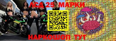 apvp Можга