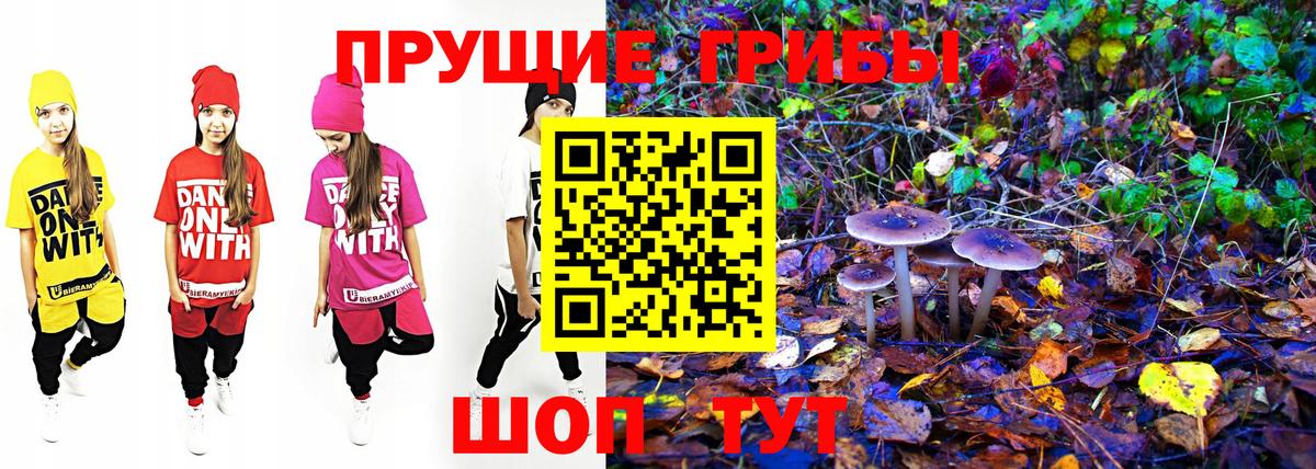 Псилоцибиновые грибы ЛСД  где найти наркотики  Урус-Мартан  Вход с VPN 