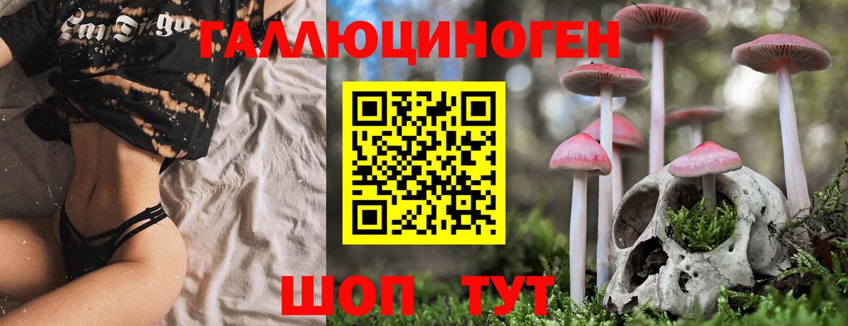 Галлюциногенные грибы ЛСД Урус-Мартан